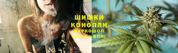 ПСИЛОЦИБИНОВЫЕ ГРИБЫ Магас