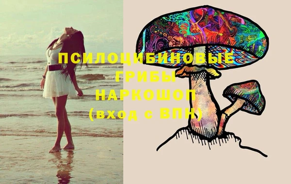 прущие крисы Медногорск