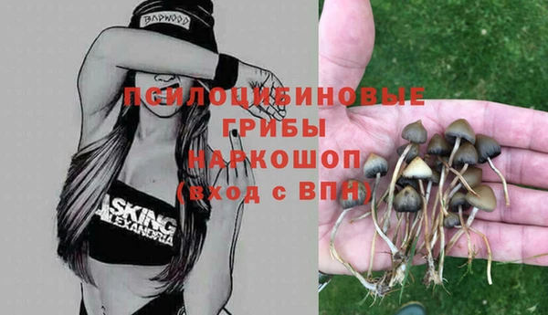 метамфетамин Медвежьегорск
